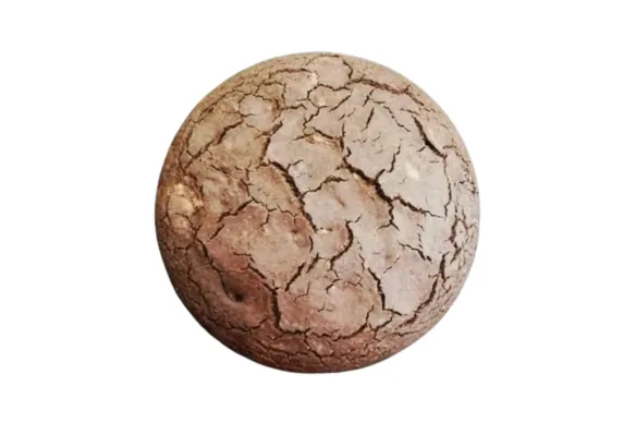 BROWNIE 18CM DIAMETRO
