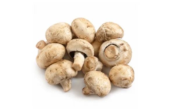 CHAMPIÑONES