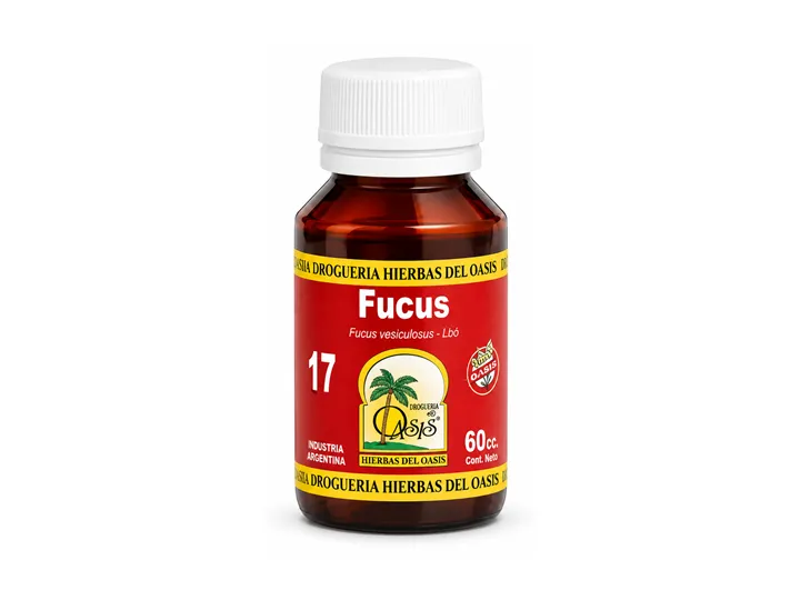 FUCUS