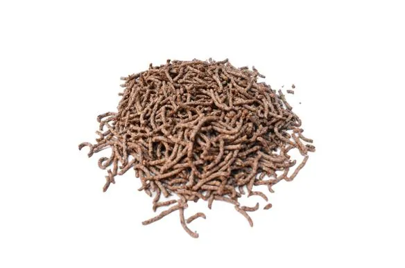 BASTONCITO DE SALVADO