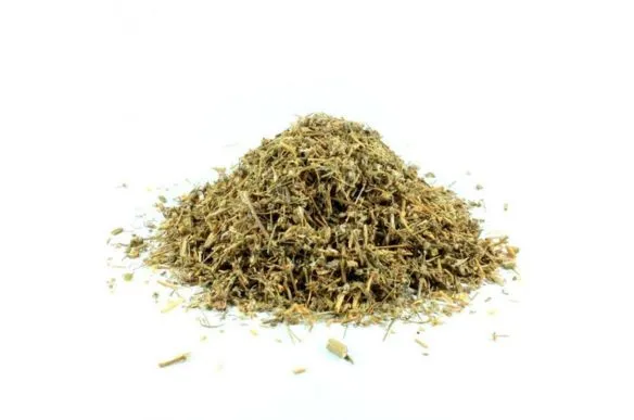 ARENARIA