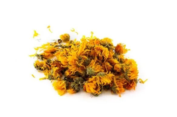 CALENDULA FLORES