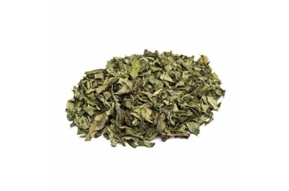 MENTA EN HOJAS