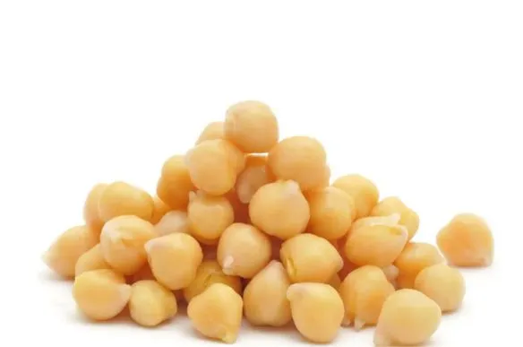 GARBANZO